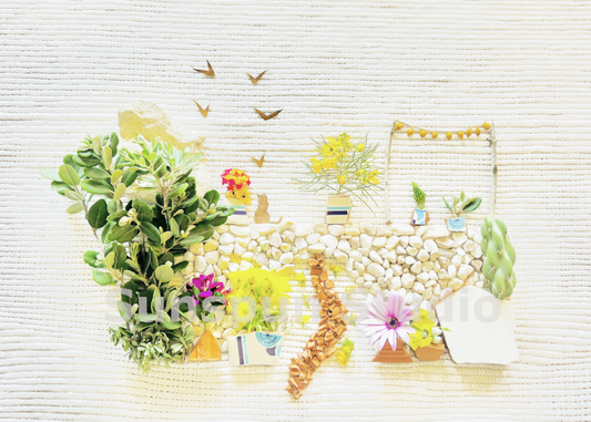 gran sol greeting card