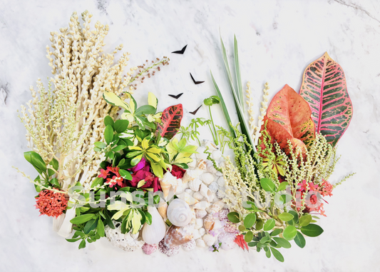 lauderdale greeting card