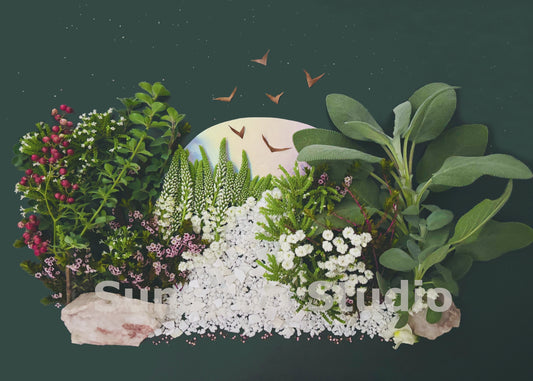 Winter Moon 8x10 Fine Art Print by Sunspun Studio