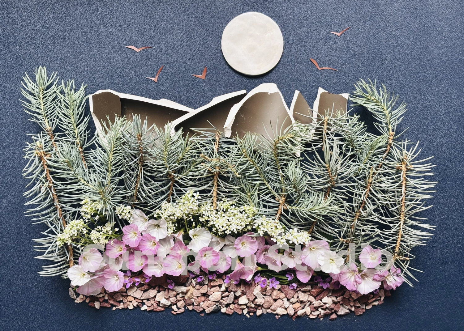 rocky mountain night