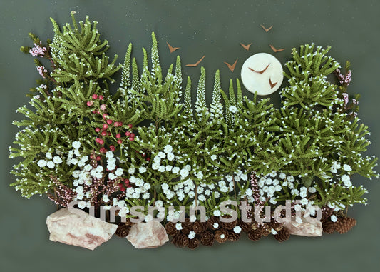 Dark Forest 5x7 Fine Art Print