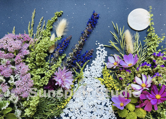 Moonlit Path 5x7 Fine Art Print