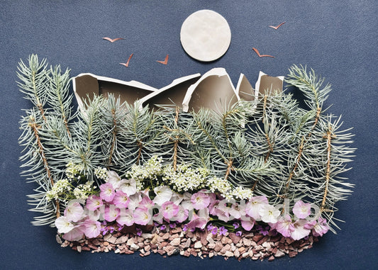 Rocky Mountain Night 5x7 Fine Art Print